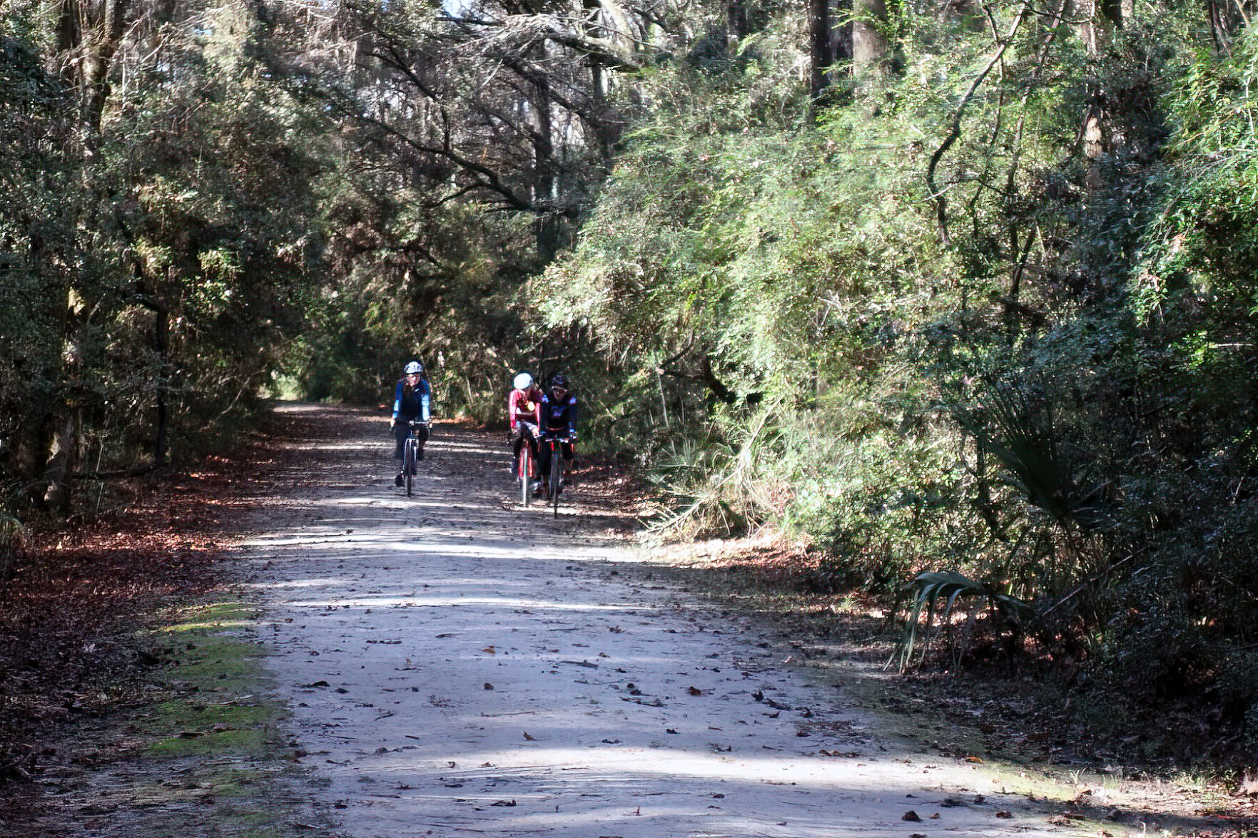 Biking is popular at Laurel Hill County Park (copy)